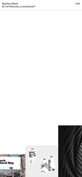 Bastien Allard Mobile Preview