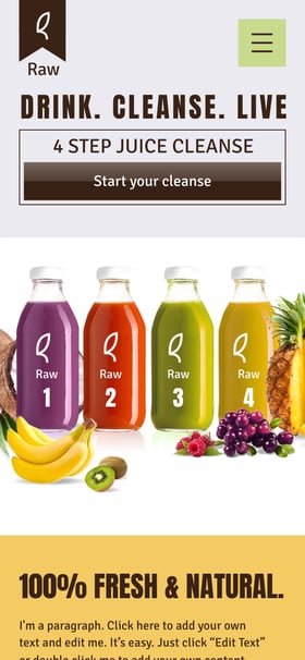 Cleanse Mobile Preview