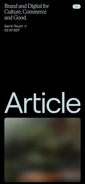 Article Mobile Preview