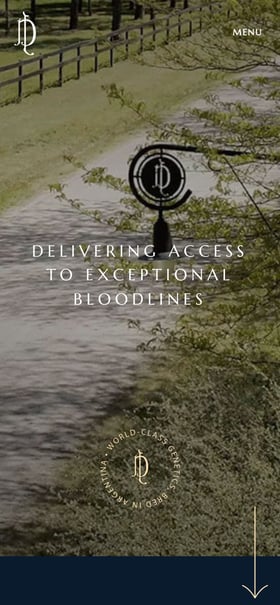 La Dolfina Jumping Mobile Preview