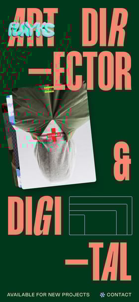 Flayks Mobile Preview