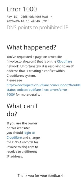Tola Invoices Mobile Preview