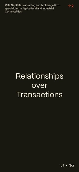 Vela Capitals Mobile Preview