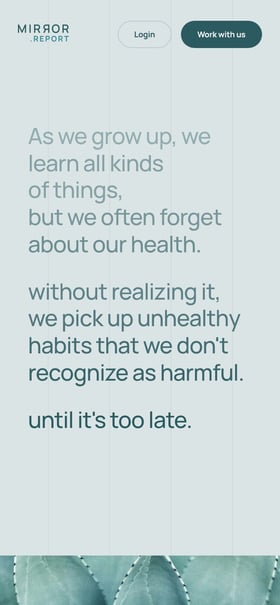 Mirror.Report Mobile Preview