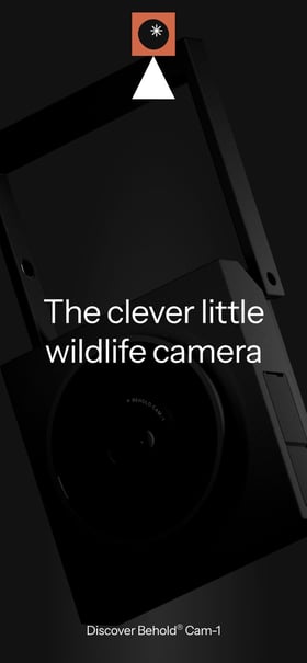 Behold Cam-1 Mobile Preview