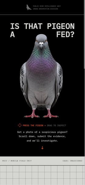 Is That Pigeon a Fed? Mobile Preview