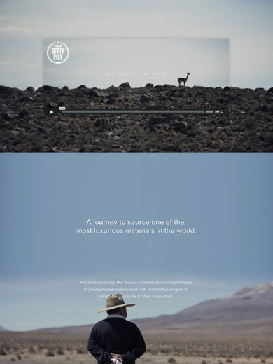 The Gold of The Andes Thumbnail Preview