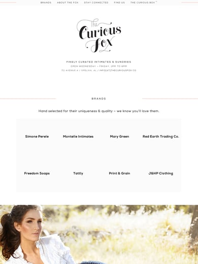 The Curious Fox Thumbnail Preview