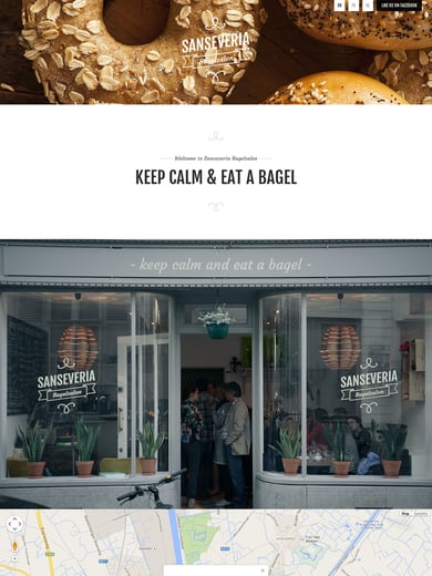 Sanseveria Bagelsalon Thumbnail Preview