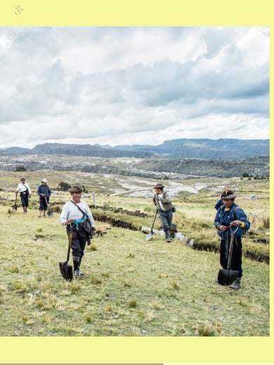 Ackerbunt Thumbnail Preview