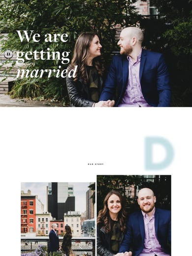 Take the Highbrown Thumbnail Preview