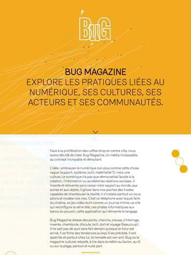 Bug Magazine Thumbnail Preview