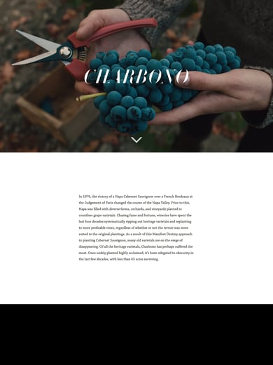 Matt Morris Wines Thumbnail Preview