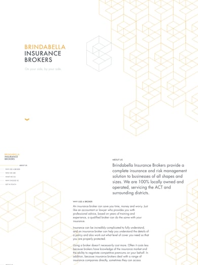 Brindabella Insurance Brokers Thumbnail Preview