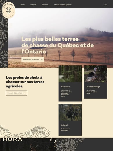 Plethora Thumbnail Preview