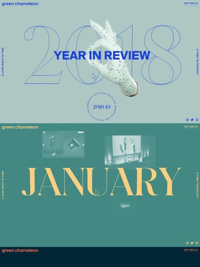 Green Chameleon 2018 Year in Review Thumbnail Preview
