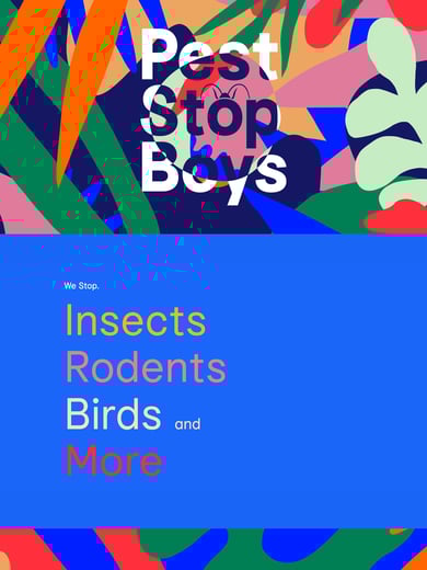 Pest Stop Boys Thumbnail Preview