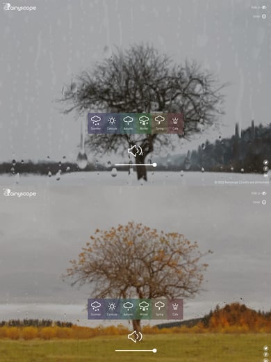 Rainyscope Thumbnail Preview