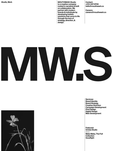 Mouthwash Studio Thumbnail Preview