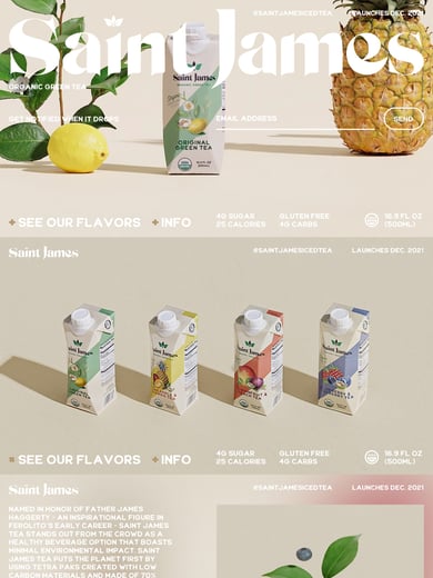 Saint James Thumbnail Preview