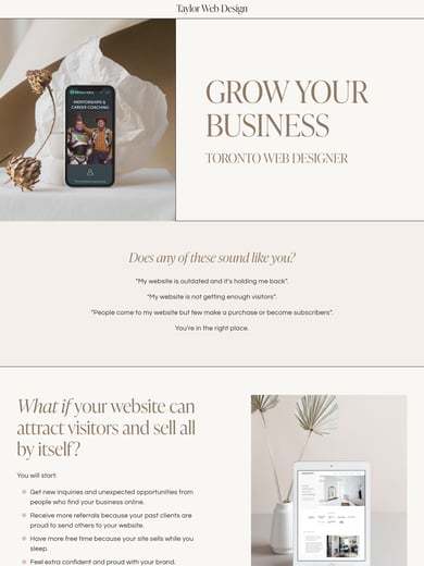 Taylor Web Design Thumbnail Preview