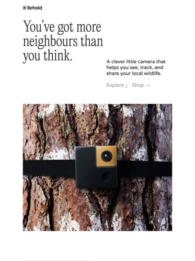 Behold Thumbnail Preview