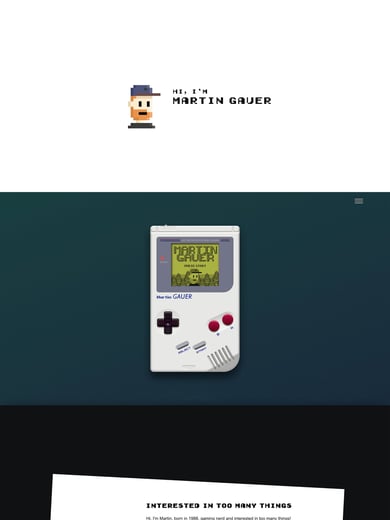 Martin Gauer Thumbnail Preview