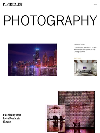 Portrayalist Thumbnail Preview