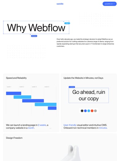 Saddle – Why Webflow Thumbnail Preview
