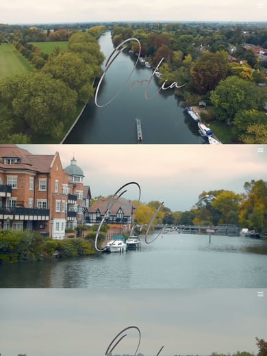 Orrlia Thumbnail Preview