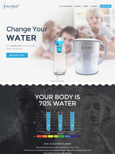 Ecobud USA Thumbnail Preview