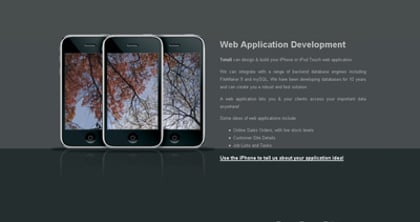Web & iPhone Application Development Thumbnail Preview