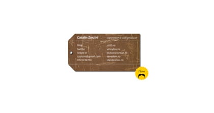 Catalin Zorzini Thumbnail Preview