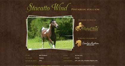 Stacatto Wind Thumbnail Preview
