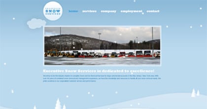 Executive Snow Services Thumbnail Preview