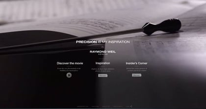 Precision is my Inspiration Thumbnail Preview