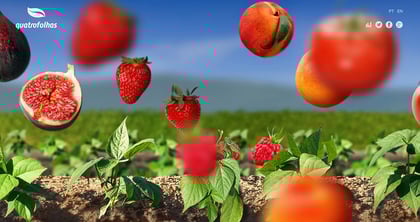 quatro folhas Thumbnail Preview