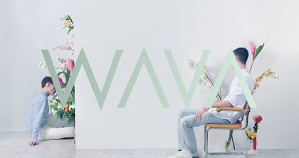 We Are Visual Animals Thumbnail Preview