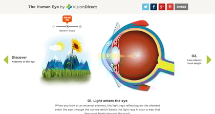 An Interactive Guide To The Human Eye Thumbnail Preview