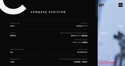 VIVAP Inc. Thumbnail Preview