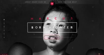 Heart Kids New Zealand Thumbnail Preview