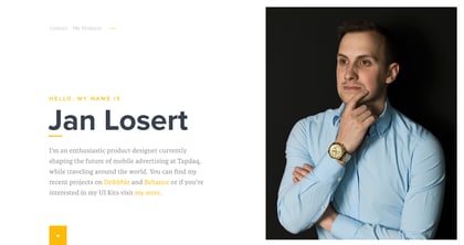 Jan Losert Thumbnail Preview