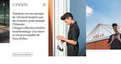 Dandyne Thumbnail Preview