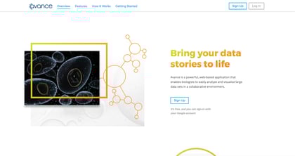 Avance Thumbnail Preview