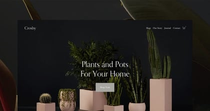 The Top Squarespace 7.1 Templates to get started online