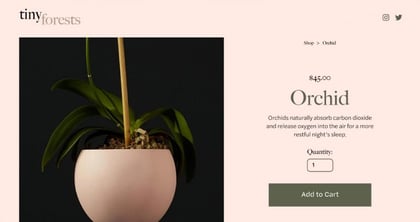 Squarespace Landing Pages: Answers to 10 FAQs