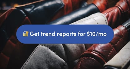 How to start a premium newsletter and earn subscription income using Squarespace