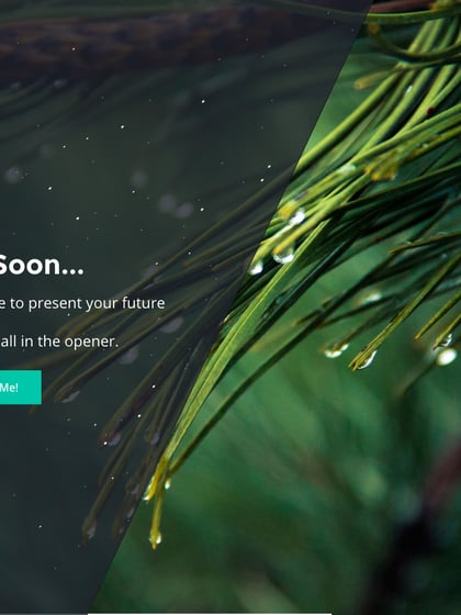 PHLY Template Thumbnail Preview