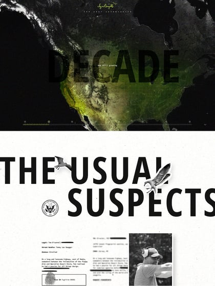 Decade in Design Thumbnail Preview