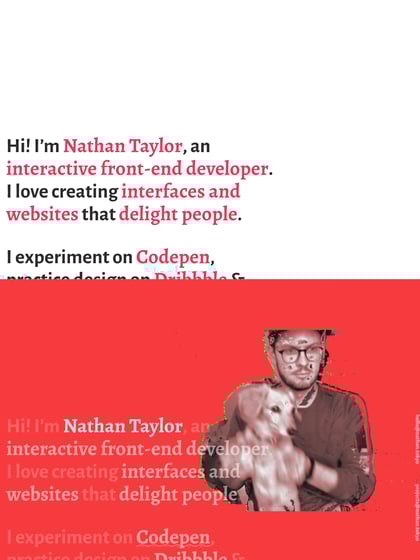 Nathan Taylor Thumbnail Preview